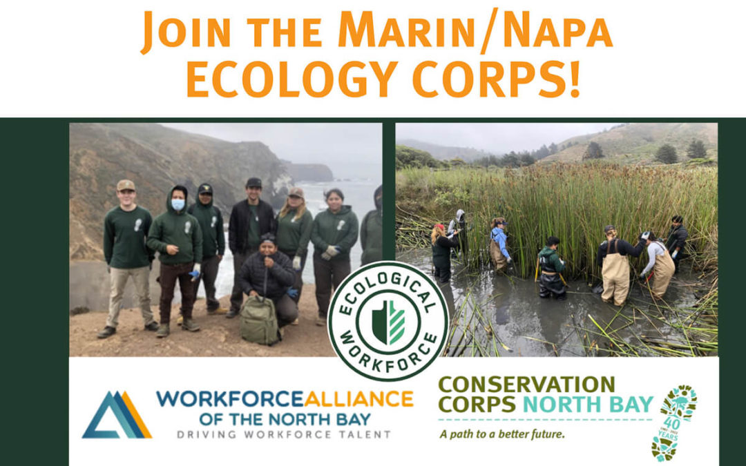 Join the Marin/Napa Ecology Corps