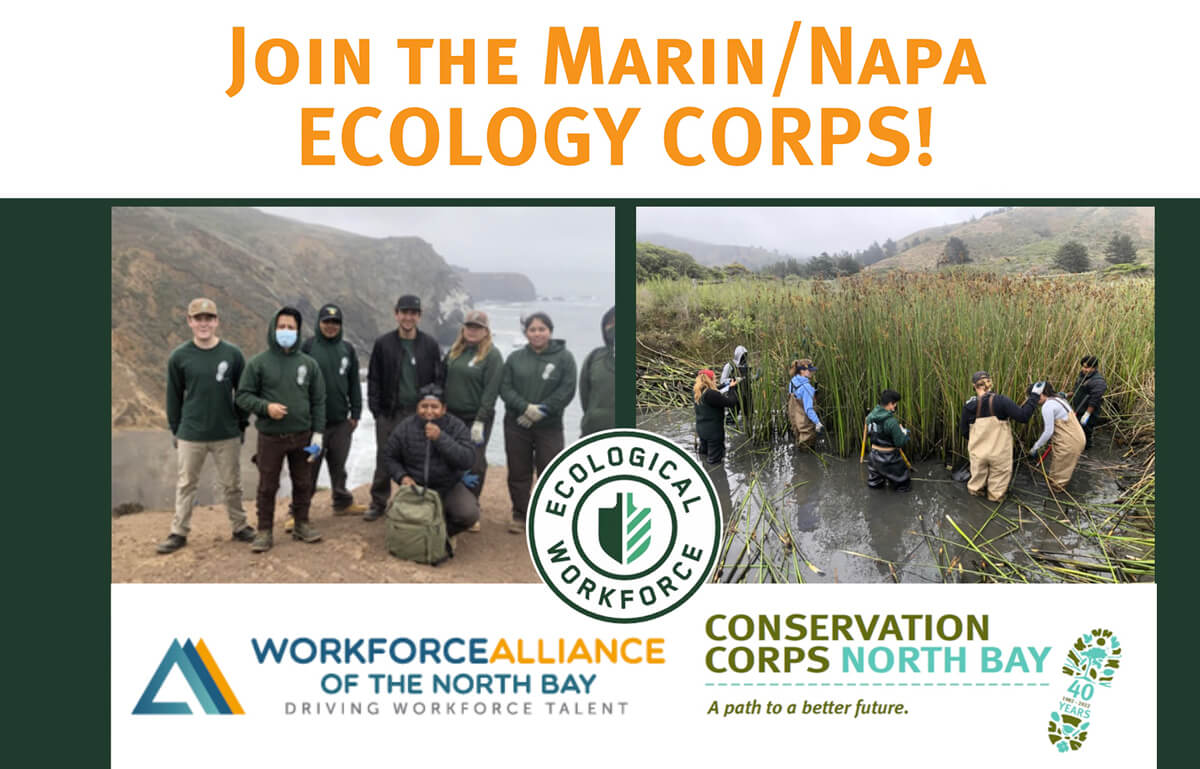 eco-workforce-napa-amrin-featured-image