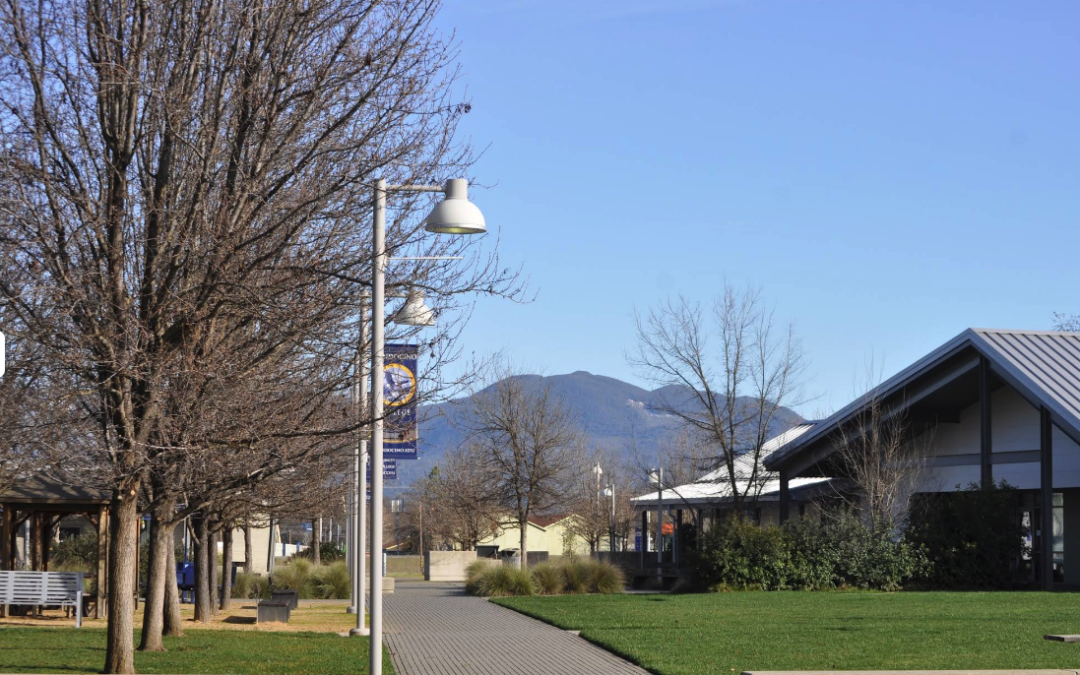 Mixer – Mendocino College Foundation, Summer Scholars Program